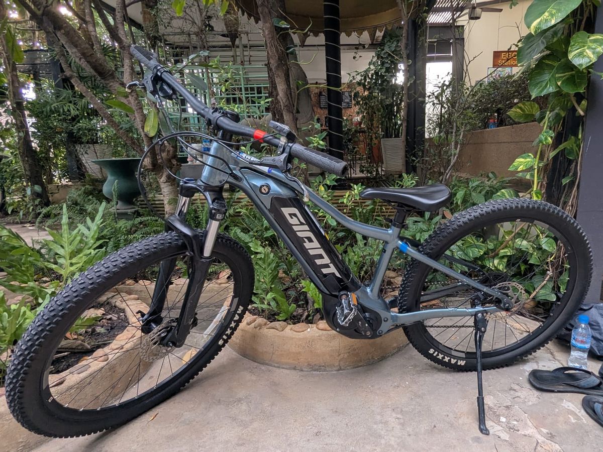 One of our e-bikes, a mountain bike with a battery in the frame, on its stand in a garden