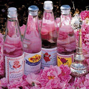 Where to buy rose water in kashan Iran