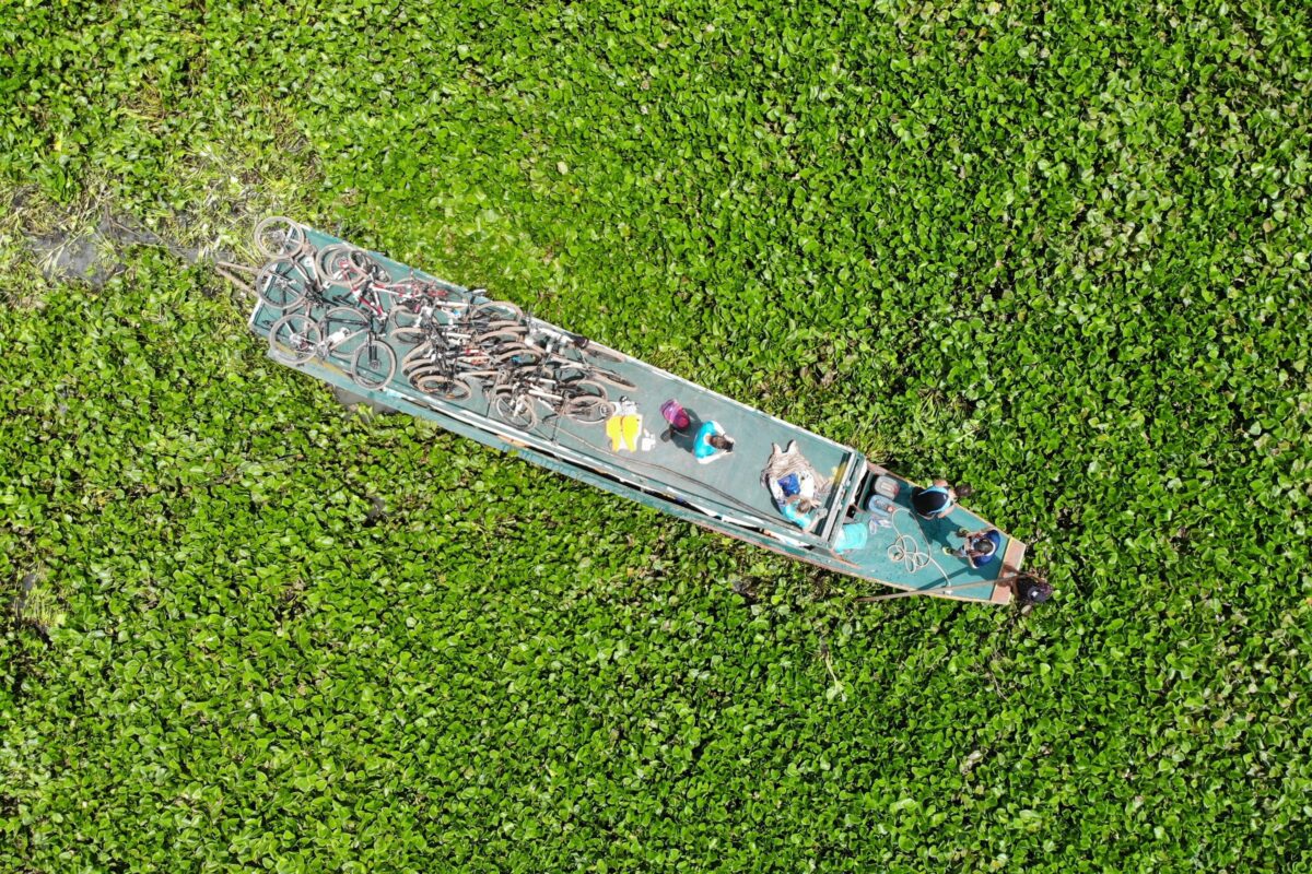 Aerial view of a long wooden boat carrying the group's bikes through a river covered in water hyacinth