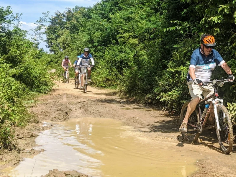 A rider in a Social Cycles jersey leads three others along a muddy single track between green bushes in rural Cambodia
