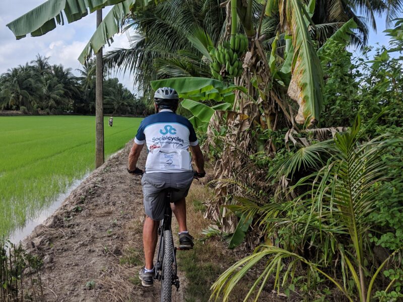 A rider in a Social Cycles jersey, seen from behind, follows a narrow dyke path between bright green rice paddies and banana palms