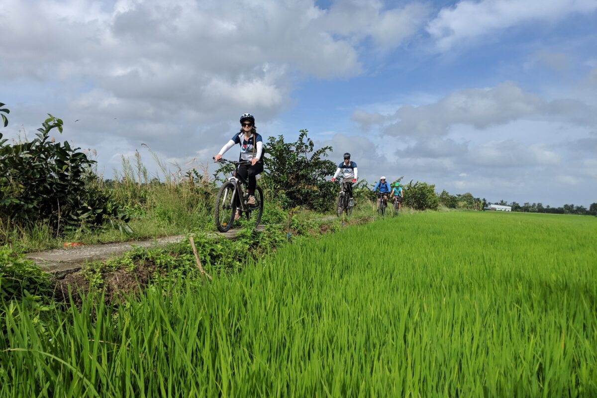 Riders along a dyke through bright green rice under towering clouds