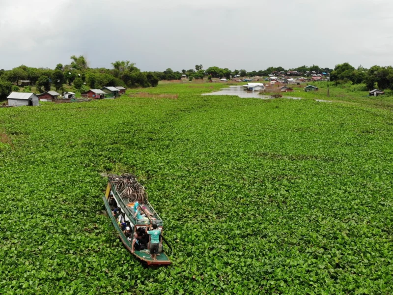From the air: the longboat carrying the bikes pushes through water hyacinth toward a stilt village