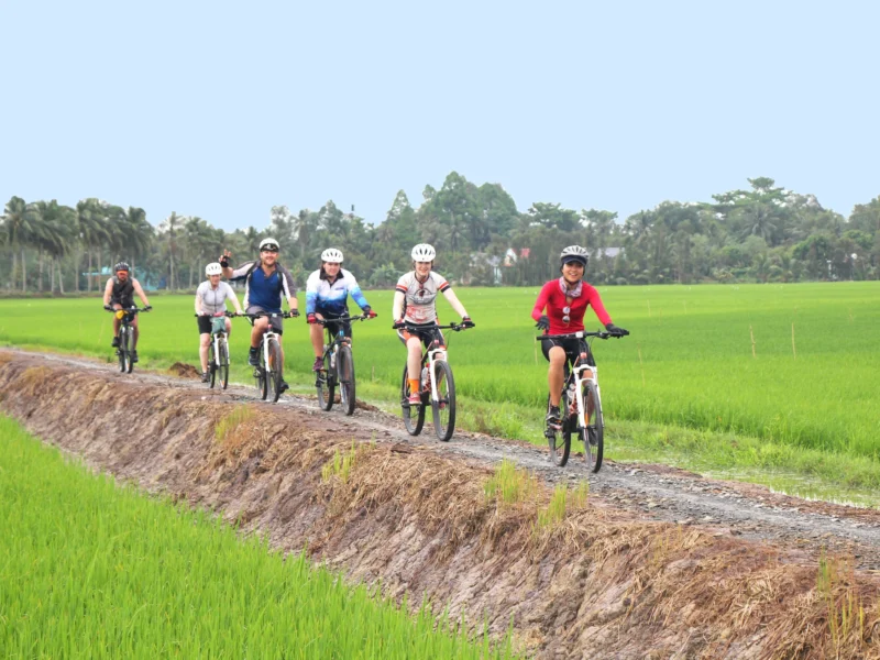 Six smiling riders in single file between green rice paddies