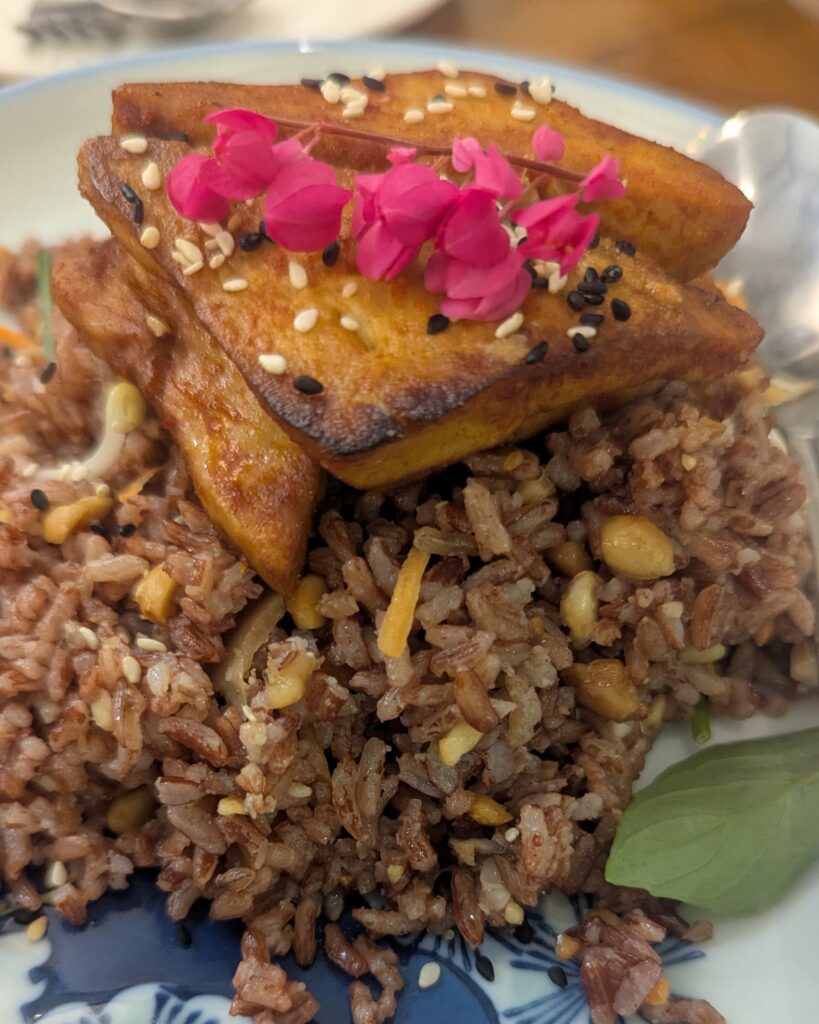 Pan-fried tofu on red rice with peanuts, sesame and a pink flower garnish, on a blue-and-white plate in Battambang, Cambodia.
