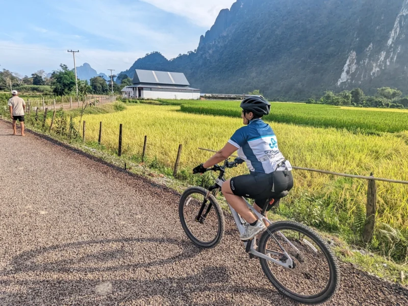 A rider in a Social Cycles jersey, seen from behind, on a gravel lane beside golden rice fields with a limestone cliff behind