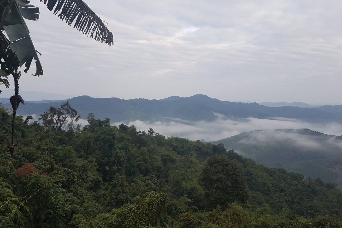 Morning mist lies between layered ridges in northern Laos