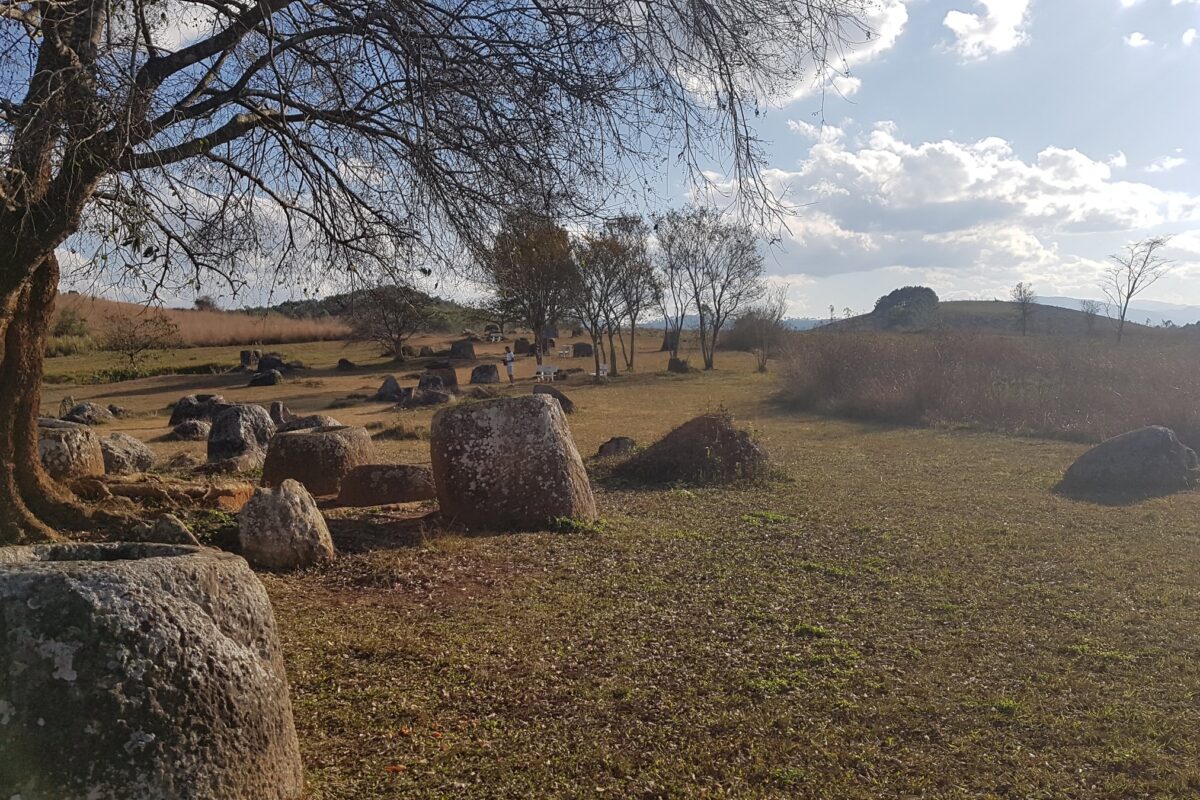 Stone jars scattered across the plain beneath a spreading tree