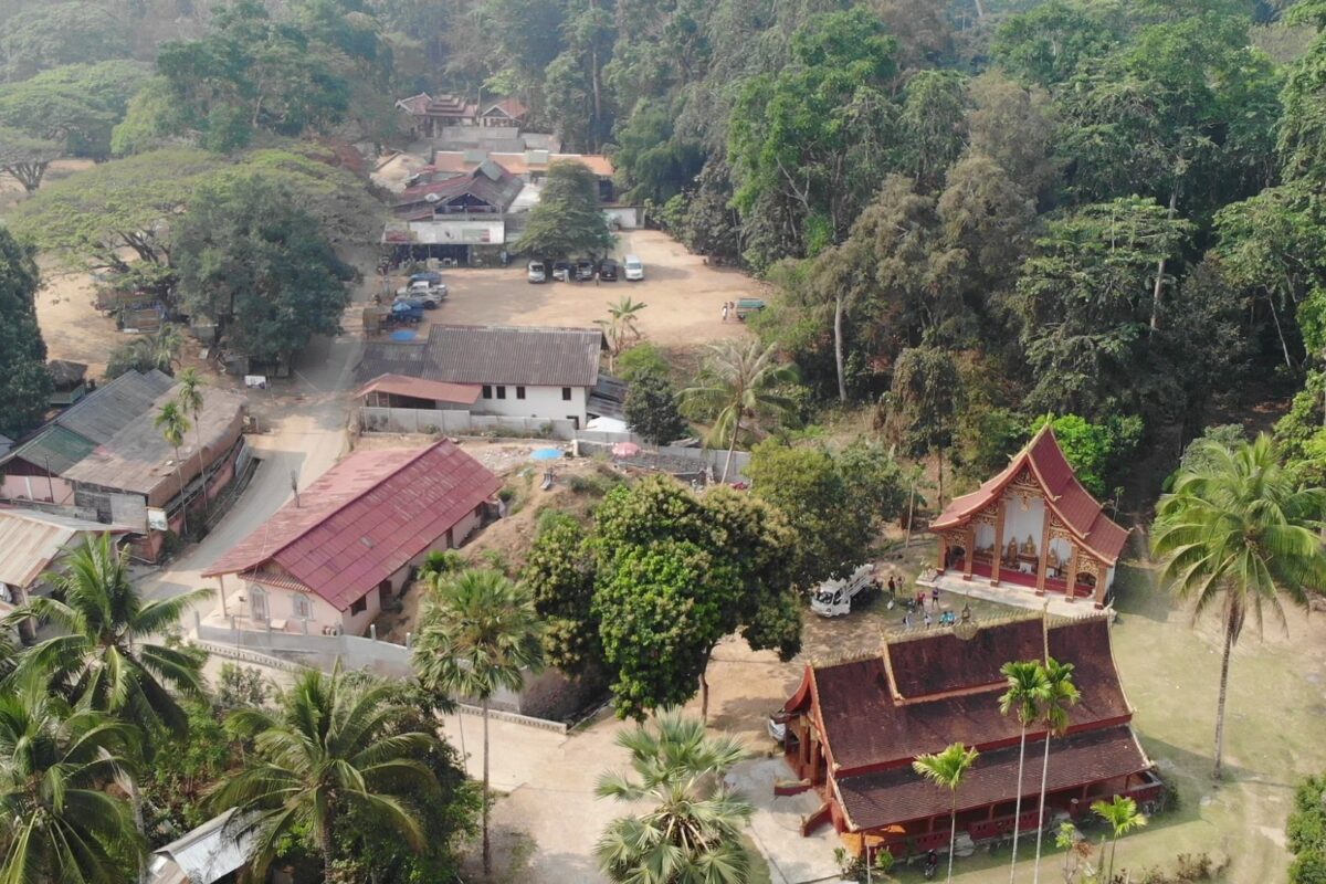 From the air: red temple roofs among palms in a forest village