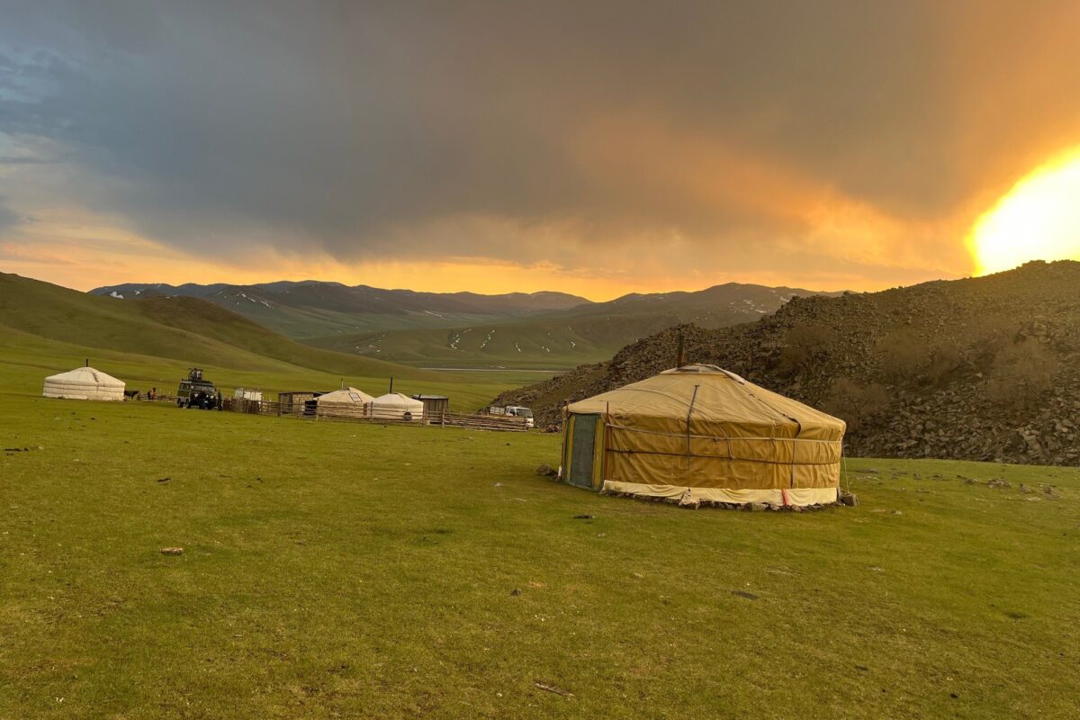 A lone ger in a green valley under a fiery evening sky
