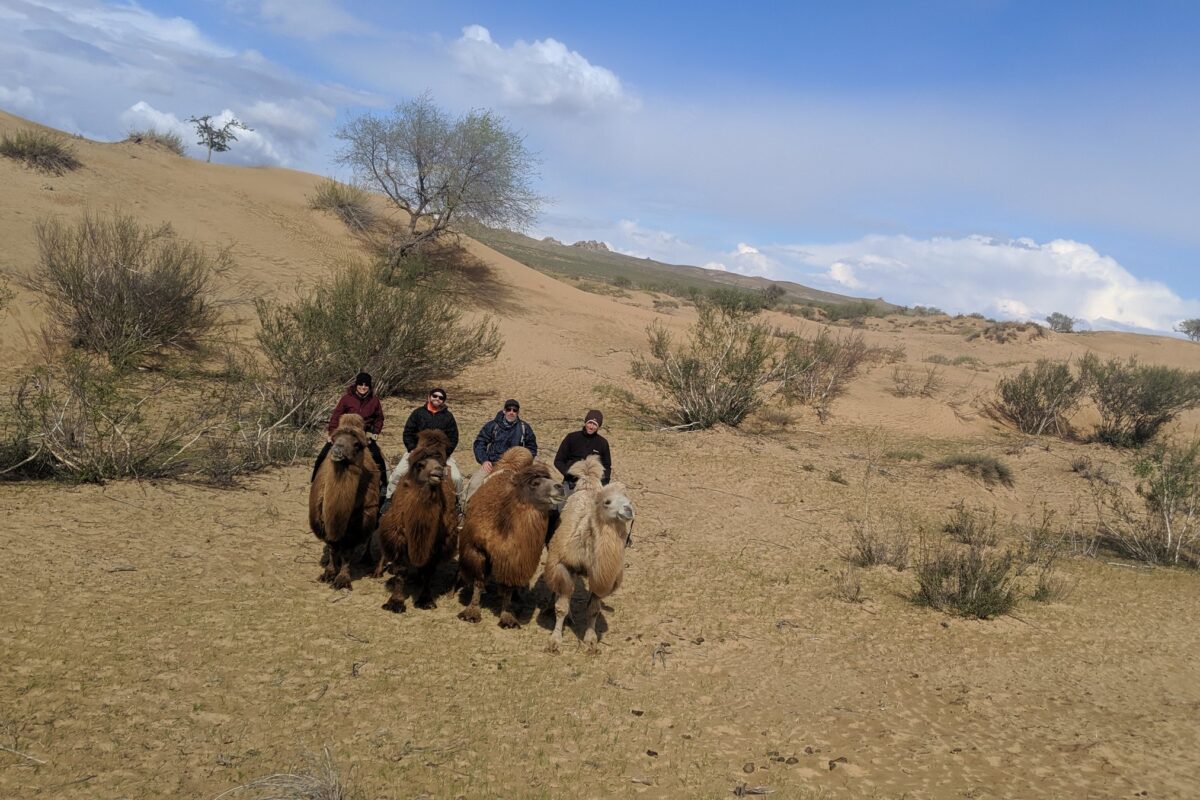Riders on Bactrian camels in the Elsen Tasarkhai dunes