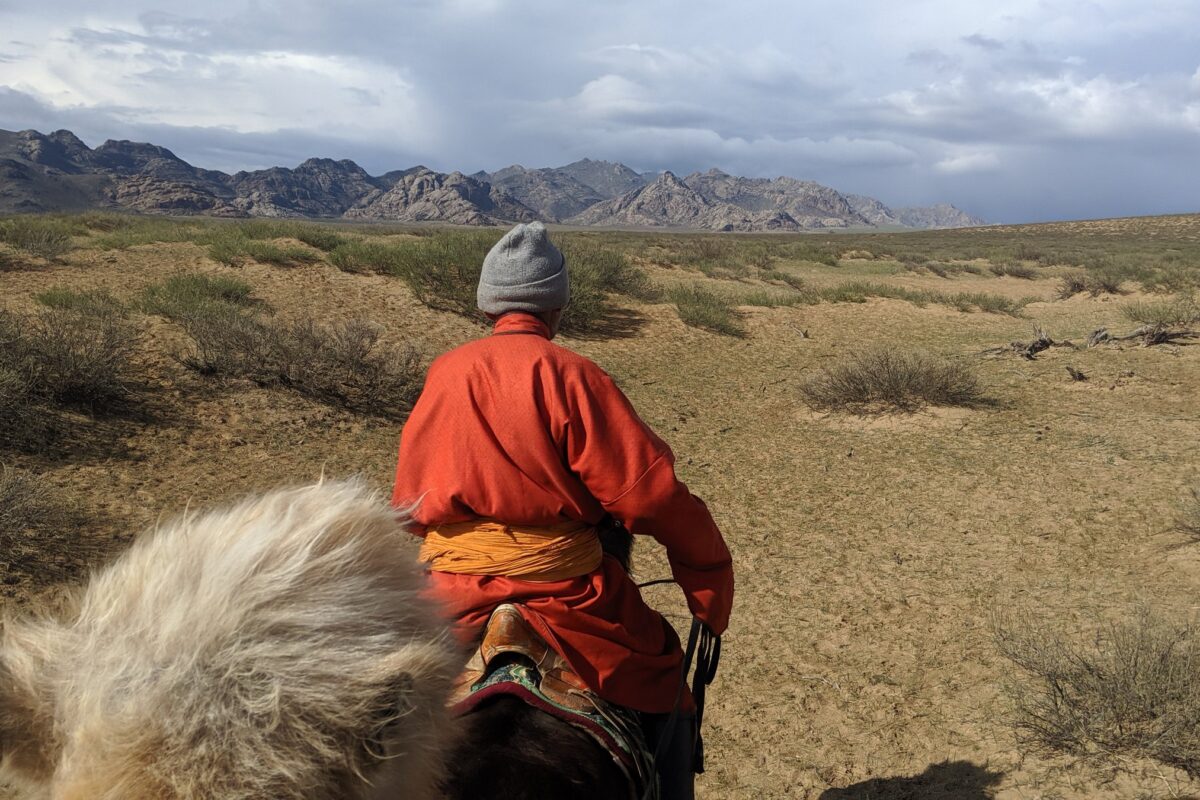 From a camel's back: a herder in an orange deel leads toward the hills