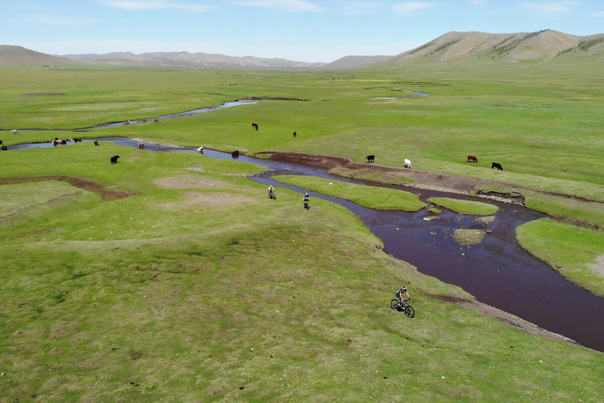 From the air: riders tiny beside a braided river, cattle on the banks